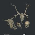 Cover Art for 9780905853307, Mammal Bones and Teeth by Simon Hillson