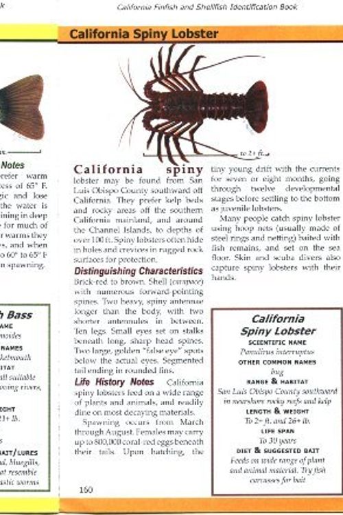 Cover Art for 9780972229111, California Finfish and Shellfish Identification Book by Mary Patyten
