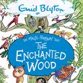 Cover Art for 9781444959451, Magic Faraway Tree 01: The Enchanted Wood: Book 1 by Enid Blyton