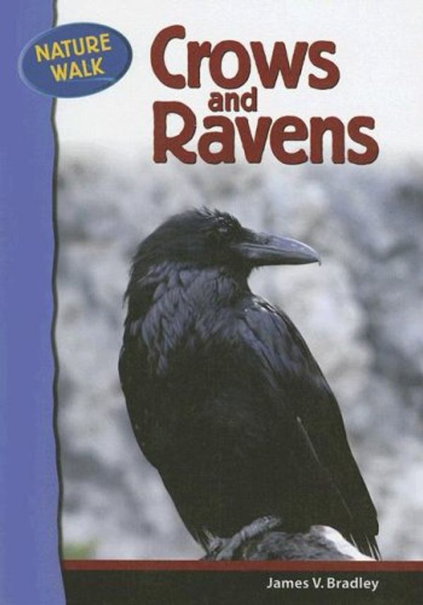 Cover Art for 9780791091159, Ravens and Crows by James V Bradley
