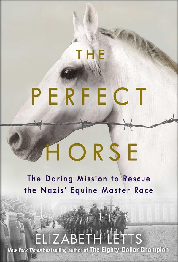 Cover Art for 9781925475364, Perfect Horse by Elizabeth Lett