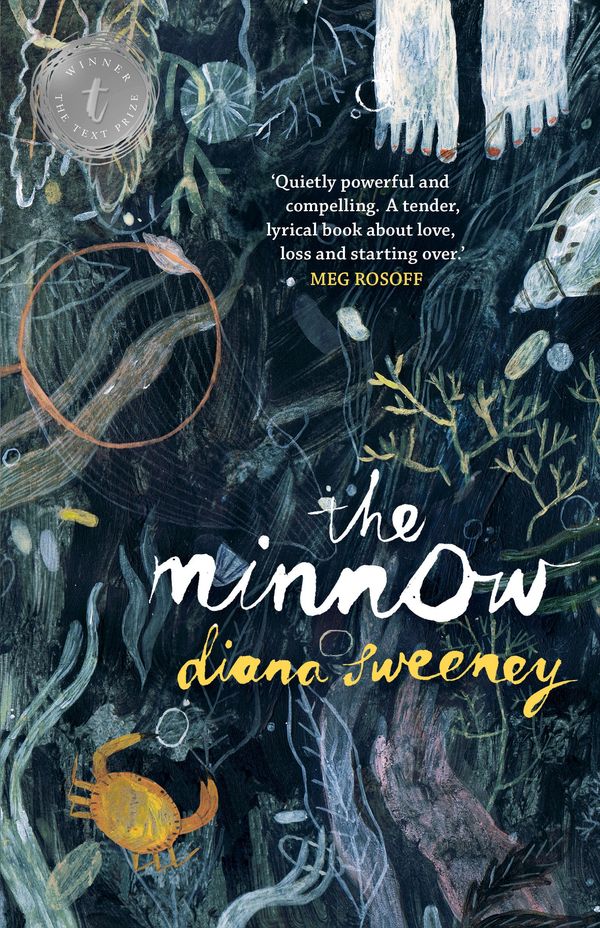 Cover Art for 9781922182012, The Minnow by Diana Sweeney