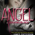 Cover Art for 9780316185202, Angel - Free Preview by James Patterson