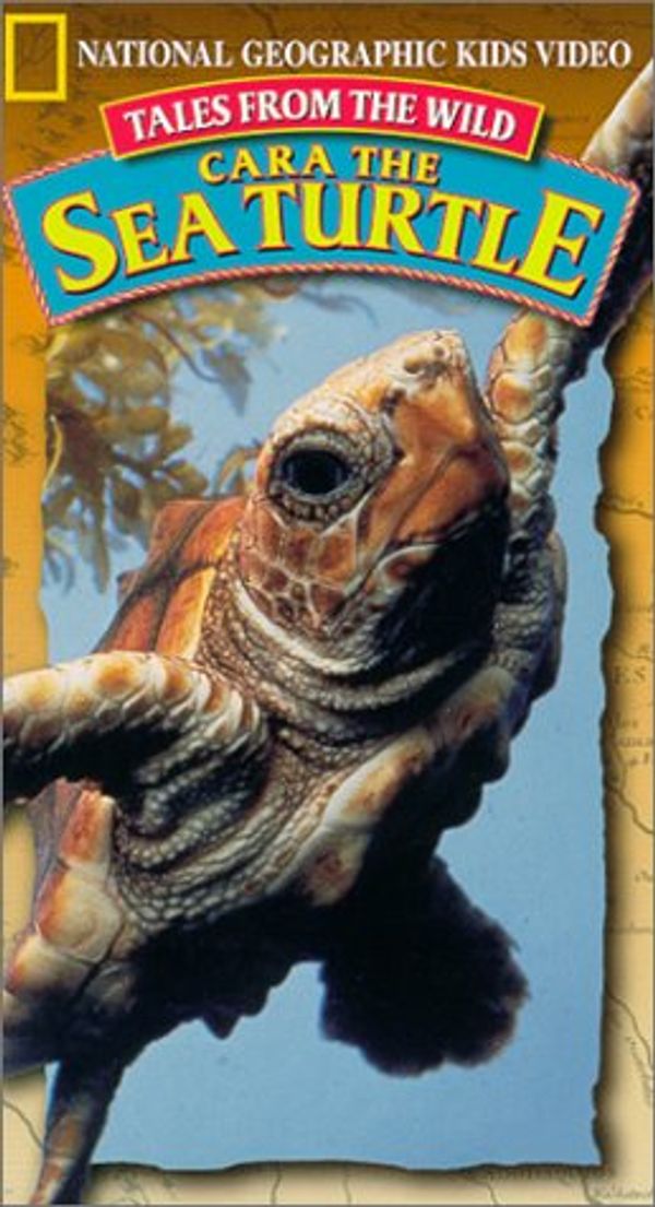 Cover Art for 9780792294061, Tales From the Wild: Cara the Sea Turtle (National Geographic Kids) [VHS] by Unknown