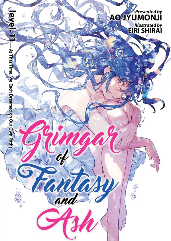 Cover Art for 9781642757040, Grimgar of Fantasy and Ash (Light Novel) Vol. 11 by Ao Jyumonji