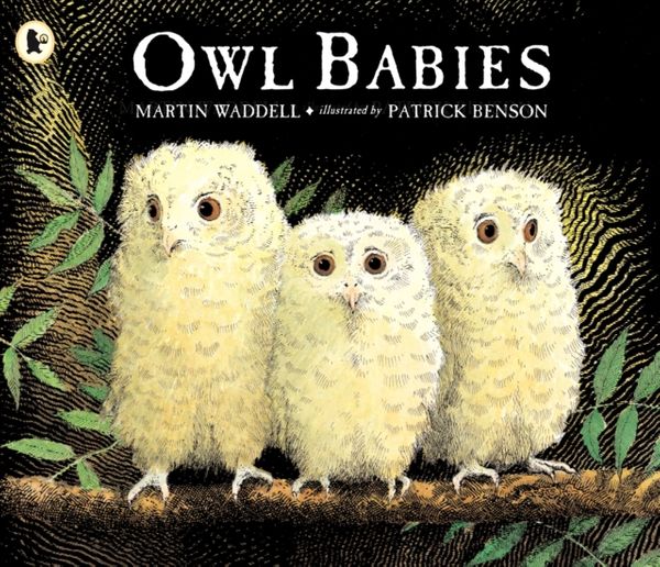 Cover Art for 9780744531671, Owl Babies by Martin Waddell