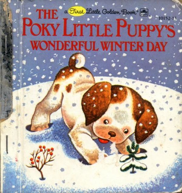 Cover Art for 9780307681188, Poky Little Puppy's Wonderful Winter Day by Jean Chandler