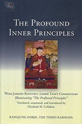 Cover Art for 9781559394161, The Profound Inner Principles by Rangjung Thir Dorje