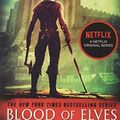 Cover Art for 8601419003334, Blood of Elves by Andrzej Sapkowski