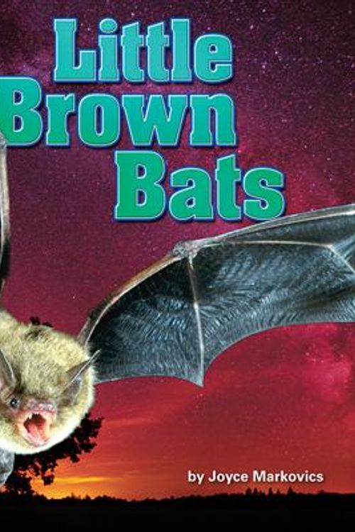 Cover Art for 9781627243155, Little Brown Bats (Little Bits: In Winter, Where Do They Go?) by Joyce L. Markovics