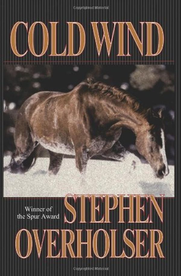 Cover Art for B00ENJVYQ8, Cold Wind by Stephen Overholser