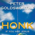 Cover Art for 9780730493822, Honk If You Are Jesus by Peter Goldsworthy