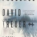 Cover Art for 9781594633089, Prudence by David Treuer