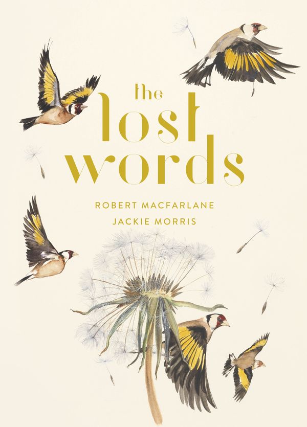Cover Art for 9780241253588, The Lost Words by Robert Macfarlane