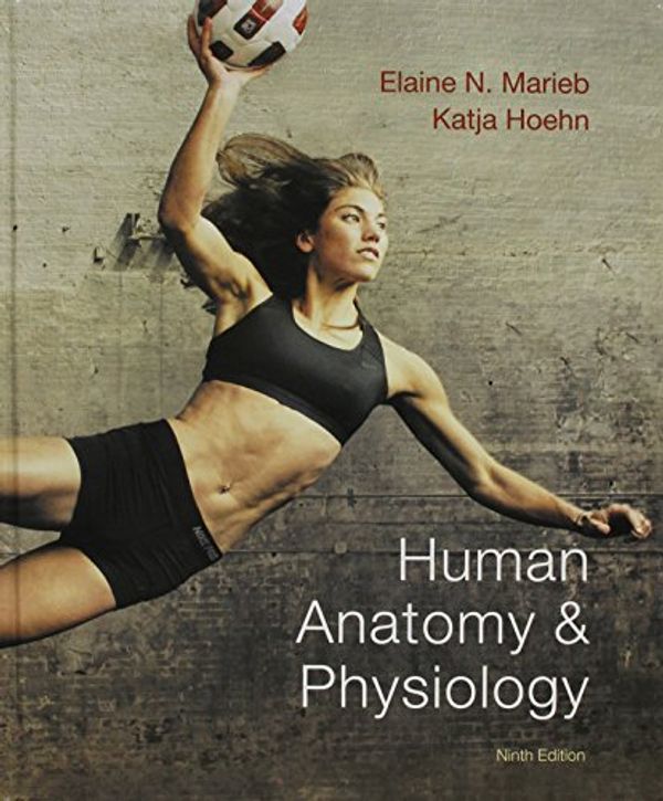 Cover Art for 9780133929881, Hum Anat&phys&lm&phys9.0&mstg/Et&ia&brf Pkg by Marieb, Elaine N., Hoehn, Katja N.