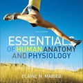 Cover Art for 9780321695987, Essentials of Human Anatomy & Physiology by Elaine N. Marieb