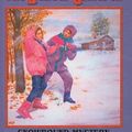Cover Art for 9780812481983, Snowbound Mystery by Gertrude Chandler Warner