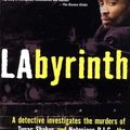 Cover Art for 9780871138385, Labyrinth by Randall Sullivan