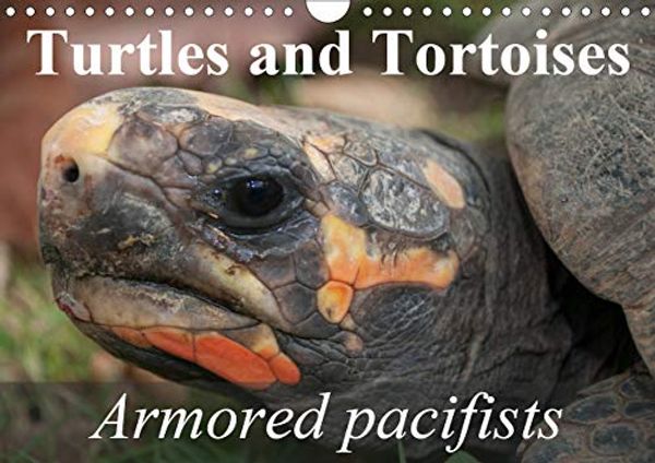 Cover Art for 9781325426416, Turtles and Tortoises - Armored pacifists (Wall Calendar 2020 DIN A4 Landscape): Oldest and most original of all reptiles (Monthly calendar, 14 pages ) by Elisabeth Stanzer