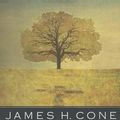 Cover Art for 9781626980051, The Cross and the Lynching Tree by James H. Cone