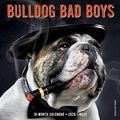Cover Art for 9781549208461, Bulldog Bad Boys 2020 Mini Wall Calendar (Dog Breed Calendar) by Willow Creek Press