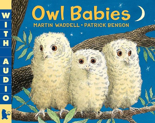 Cover Art for 9780763662844, Owl Babies by Martin Waddell