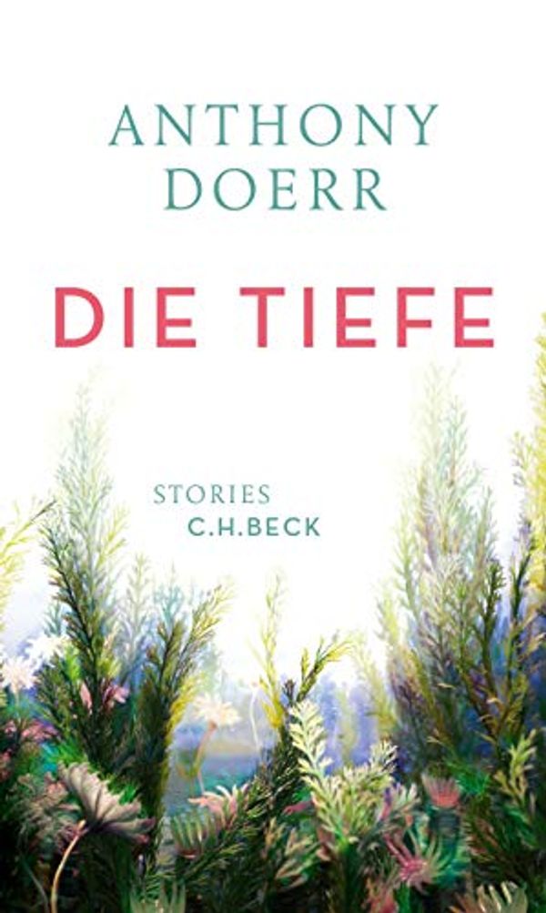 Cover Art for B071HMX2Z4, Die Tiefe: Stories (German Edition) by Doerr, Anthony