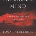 Cover Art for 9781925791051, The Inflamed Mind by Edward Bullmore