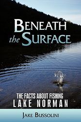 Cover Art for 9781449033019, Beneath the Surface by Jake Bussolini