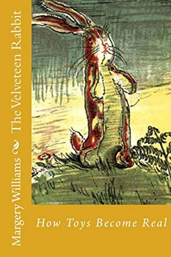 Cover Art for 9781541021266, The Velveteen Rabbit by Margery Williams