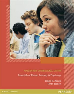 Cover Art for 9781292042794, Essentials of Human Anatomy & Physiology by Elaine N. Marieb