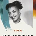 Cover Art for 9781784876463, Sula by Toni Morrison