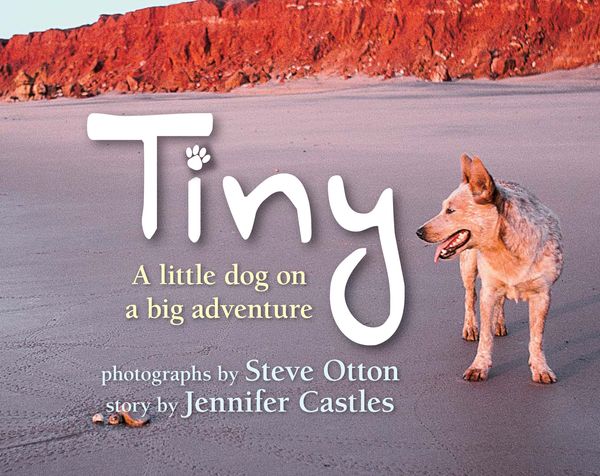 Cover Art for 9781742373447, Tiny by Jennifer Castles