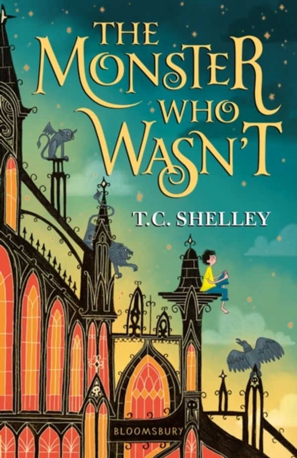 Cover Art for 9781526600837, The Monster Who Wasn't by T C Shelley