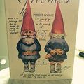 Cover Art for 9780553011319, Gnomes by Wil Huygen