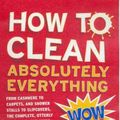 Cover Art for 9780670028665, How to Clean Absolutely Everything by Yvonne Worth, Amanda Blinkhorn