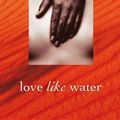 Cover Art for 9781741159745, Love Like Water by Meme McDonald