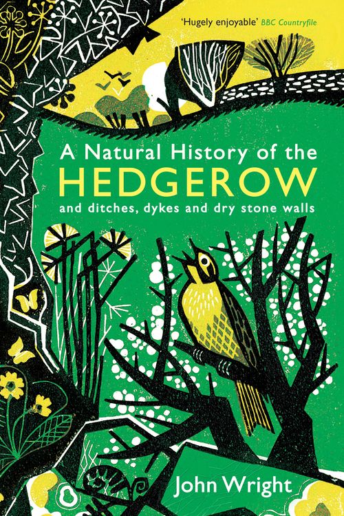 Cover Art for 9781846685538, A Natural History of the Hedgerow by John Wright
