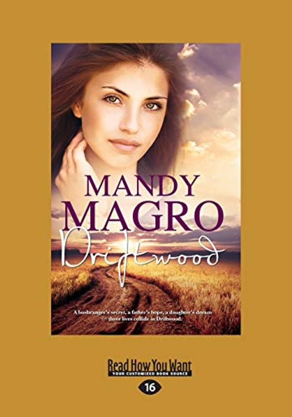 Cover Art for 9781459688506, Driftwood (Large Print 16pt) by Mandy Magro