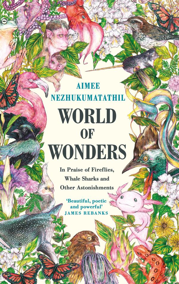 Cover Art for 9781788168908, World of Wonders: In Praise of Fireflies, Whale Sharks and Other Astonishments by Aimee Nezhukumatathil