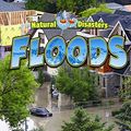 Cover Art for 9781489612076, Floods (Natural Disasters) by Jennifer Howse