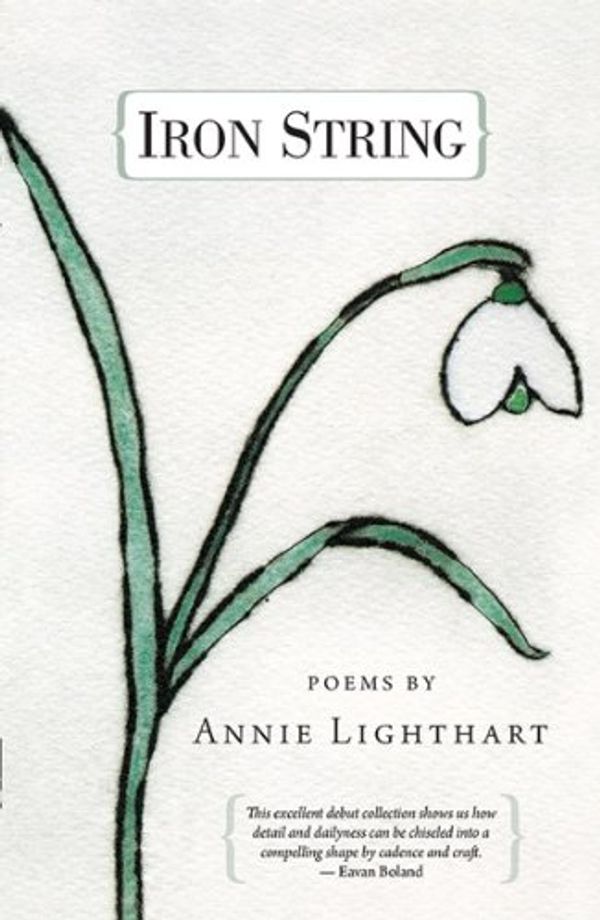 Cover Art for 9780982106679, Iron String by Annie Lighthart