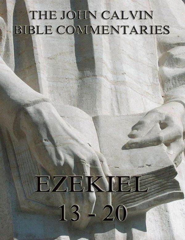 Cover Art for 9783849620585, John Calvin's Commentaries On Ezekiel 13- 20 by John Calvin, John King