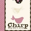 Cover Art for 9781445472928, Chirp by Parragon Books