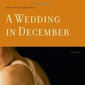 Cover Art for 9780316738996, A Wedding in December by Anita Shreve