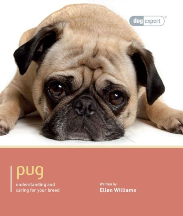 Cover Art for 9781906305703, Pug - Dog Expert by Ellen Williams