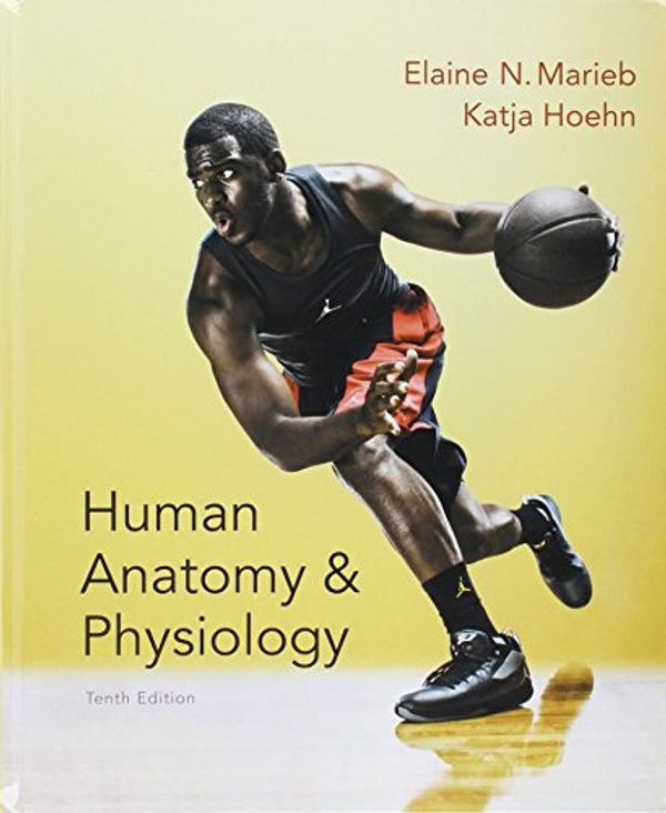 Cover Art for 9780134411033, Human Anatomy & Physiology + Laboratory Manual + Modified Masteringa&p With Pearson Etext by Elaine N. Marieb, Katja N. Hoehn