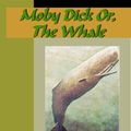 Cover Art for 9781595474049, Moby Dick, or The White Whale by Herman Melville