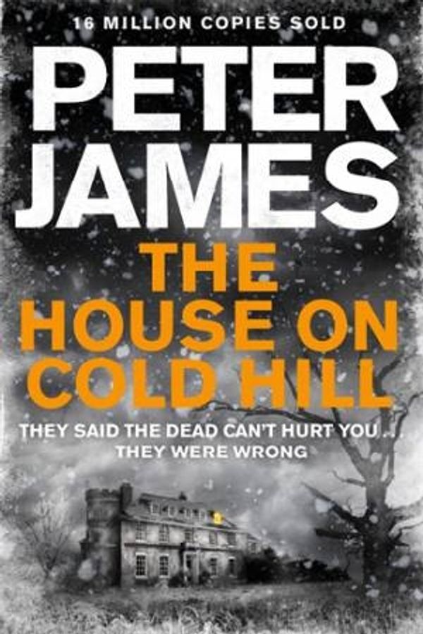 Cover Art for 9781447255901, The House on Cold Hill by Peter James
