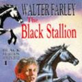 Cover Art for 9780340196878, The Black Stallion by Walter Farley